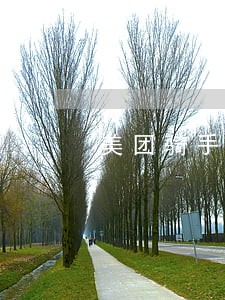 美团骑手租车帅逾期 美团骑手租车帅逾期