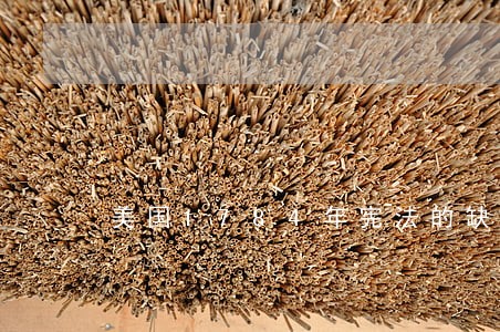 美国1784年宪法的缺陷 美国1784年宪法的缺陷