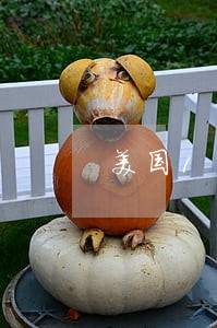 美国1979年宪法 美国1979年宪法