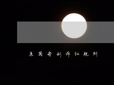 美国专利诉讼规则