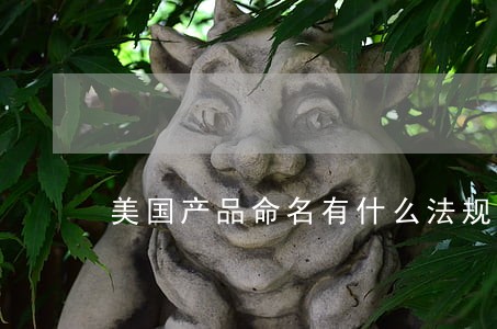 美国产品命名有什么法规 美国产品命名有什么法规