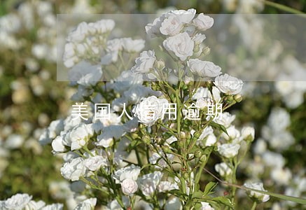 美国人信用逾期