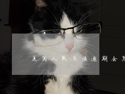 美国人民负债逾期会怎么样 美国人民负债逾期会怎么样