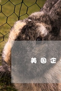 美国企业违反了劳动法后果 美国企业违反了劳动法后果