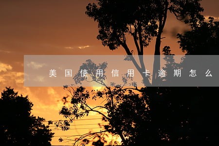 美国使用信用卡逾期怎么办