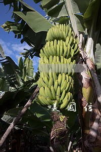美国信用卡指南逾期