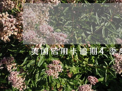 美国信用卡逾期4季度 美国信用卡逾期4季度