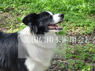 美国信用卡逾期会怎么样 美国信用卡逾期会怎么样