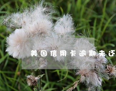 美国信用卡逾期未还款 美国信用卡逾期未还款