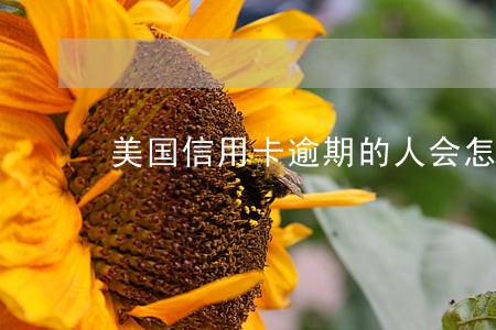 美国信用卡逾期的人会怎样 美国信用卡逾期的人会怎样