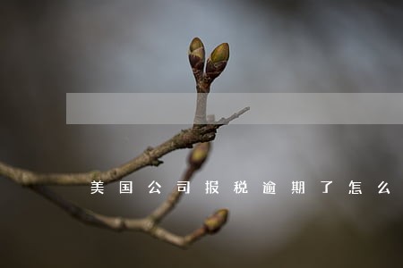 美国公司报税逾期了怎么办 美国公司报税逾期了怎么办