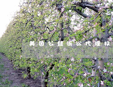 美国公益诉讼代理权 美国公益诉讼代理权
