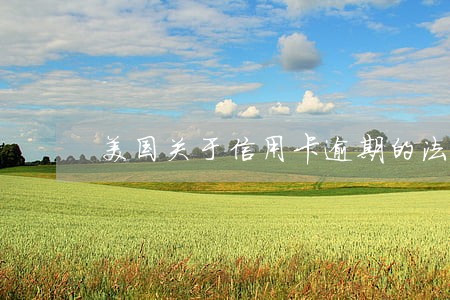 美国关于信用卡逾期的法律法规