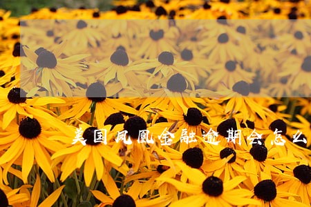 美国凤凰金融逾期会怎么样 美国凤凰金融逾期会怎么样