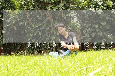 美国刑事案件诉讼需要多长时间