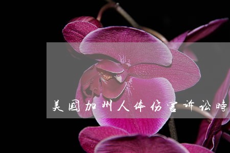美国加州人体伤害诉讼时间