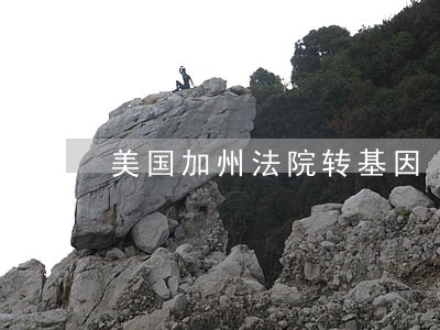 美国加州法院转基因