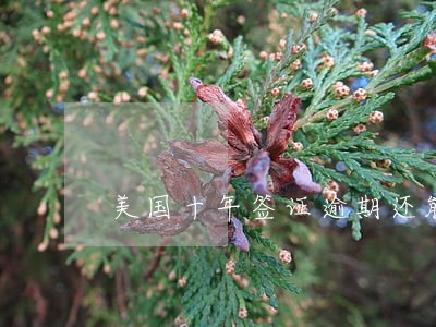 美国十年签证逾期还能去吗