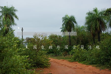 美国受控外国公司法规 美国受控外国公司法规