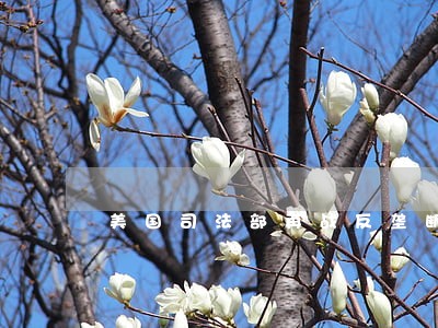 美国司法部再战反垄断控诉 美国司法部再战反垄断控诉