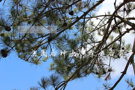 美国各种法律条文各有多少页 美国各种法律条文各有多少页