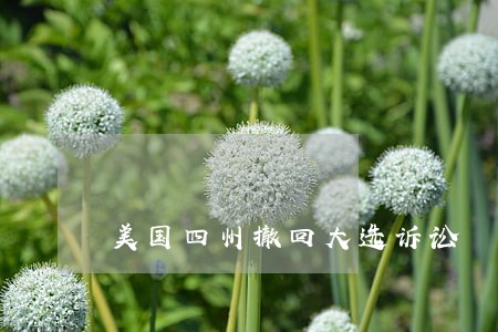 美国四州撤回大选诉讼 美国四州撤回大选诉讼