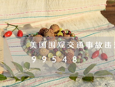 美国围观交通事故违法/2023020399548 美国围观交通事故违法/2023020399548
