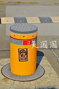 美国国会议员司法豁免