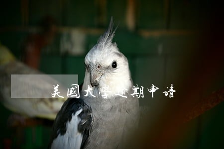 美国大学逾期申请 美国大学逾期申请