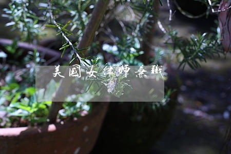 美国女律师兼职