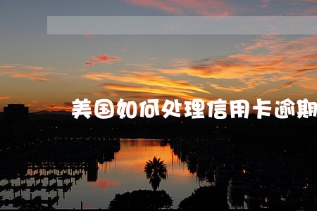 美国如何处理信用卡逾期 美国如何处理信用卡逾期