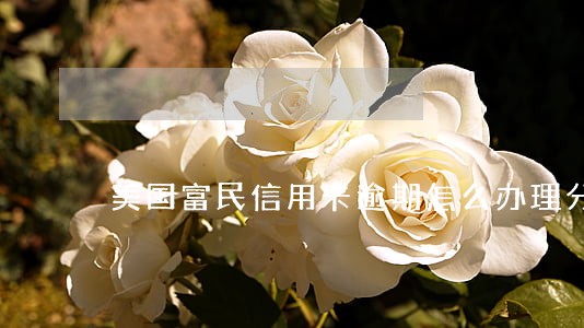 美国富民信用卡逾期怎么办理分期 美国富民信用卡逾期怎么办理分期
