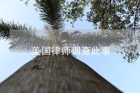 美国律师调查此事 美国律师调查此事