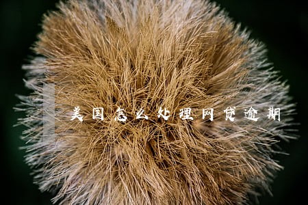 美国怎么处理网贷逾期 美国怎么处理网贷逾期