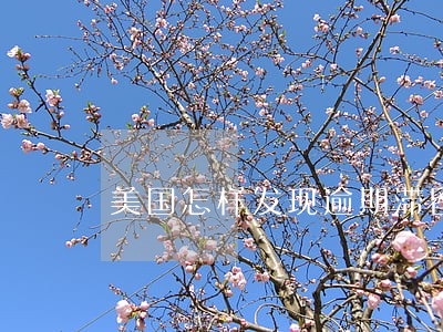 美国怎样发现逾期滞留不良记录 美国怎样发现逾期滞留不良记录