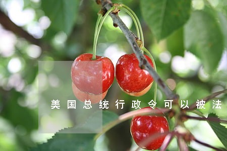 美国总统行政令可以被法院禁止 美国总统行政令可以被法院禁止