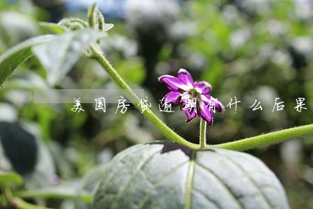 美国房贷逾期有什么后果 美国房贷逾期有什么后果