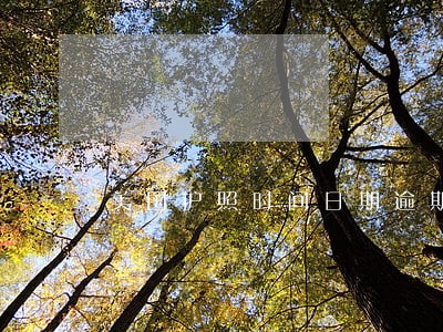 美国护照时间日期逾期 美国护照时间日期逾期