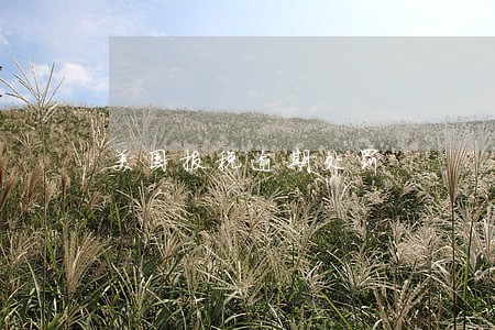 美国报税逾期处罚 美国报税逾期处罚