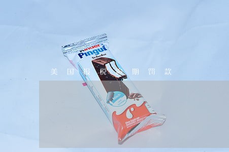 美国报税逾期罚款 美国报税逾期罚款
