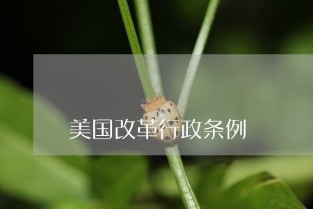 美国改革行政条例 美国改革行政条例