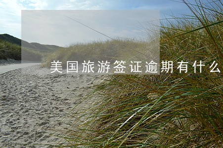 美国旅游签证逾期有什么后果 美国旅游签证逾期有什么后果