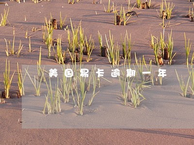美国易卡逾期一年