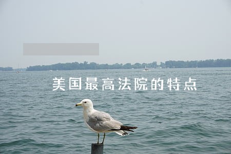 美国最高法院的特点 美国最高法院的特点