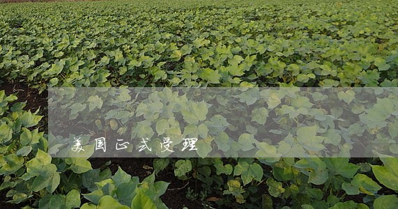 美国正式受理