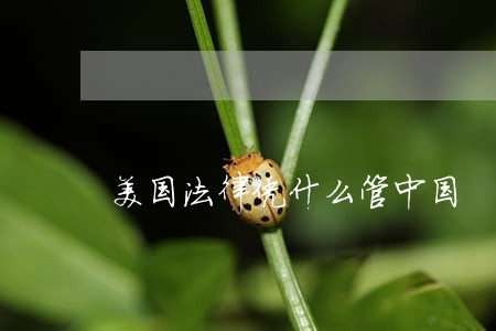美国法律凭什么管中国 美国法律凭什么管中国