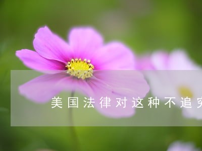 美国法律对这种不追究的吗
