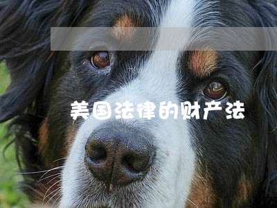 美国法律的财产法 美国法律的财产法