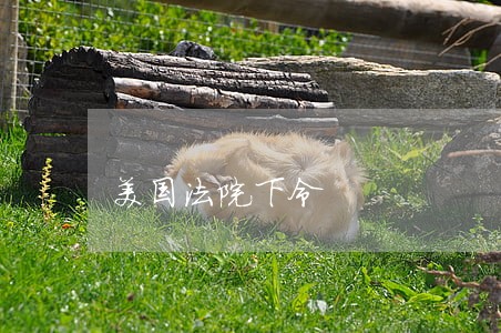 美国法院下令 美国法院下令