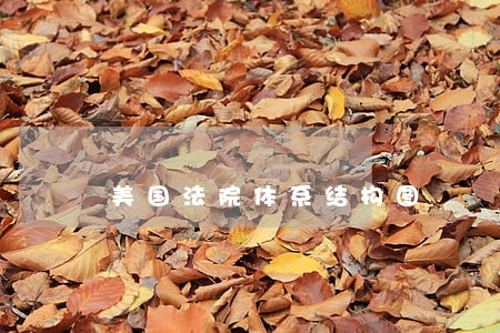 美国法院体系结构图 美国法院体系结构图